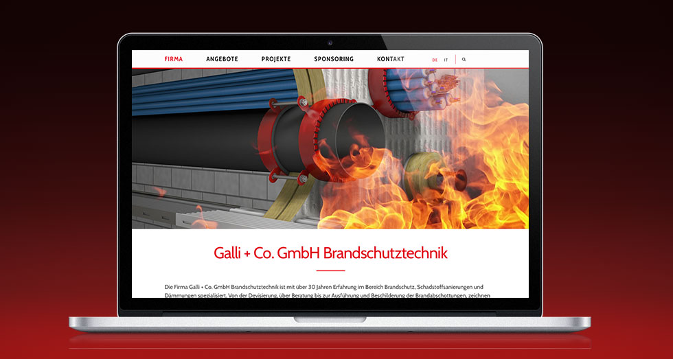 Galli_Web