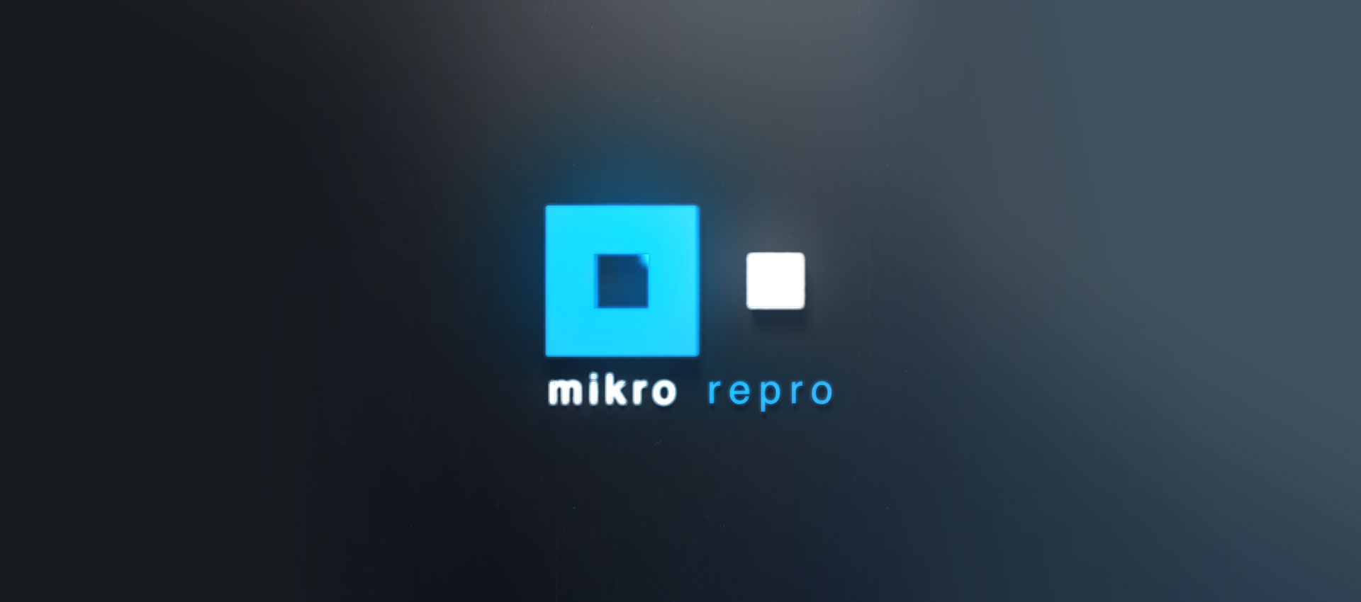 Mikro + Repro AG