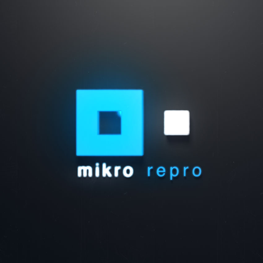 Mikro + Repro AG